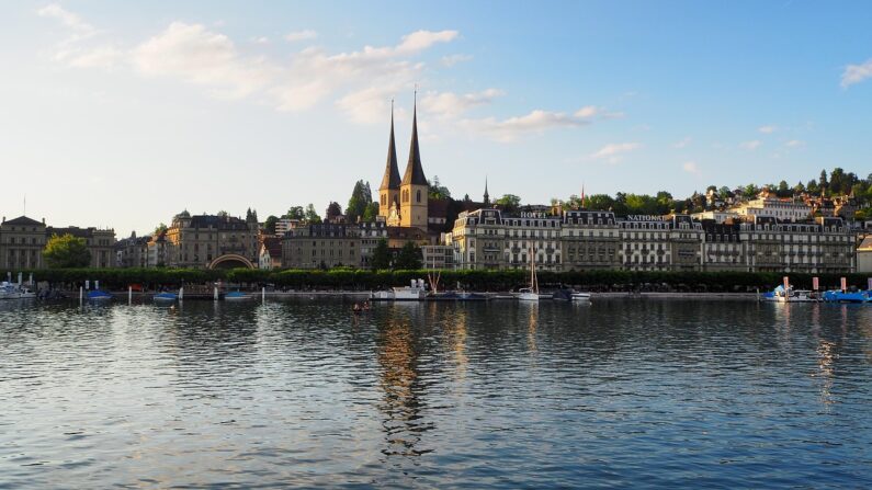 Opdag fordelene ved lucerne til hest i hestens kost